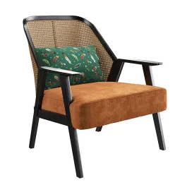 Roche bobois weg armchair